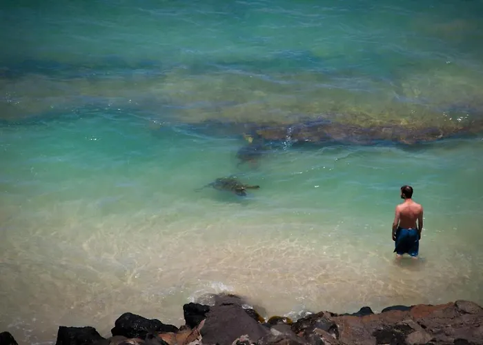 Yonegan Central Maui Getaways