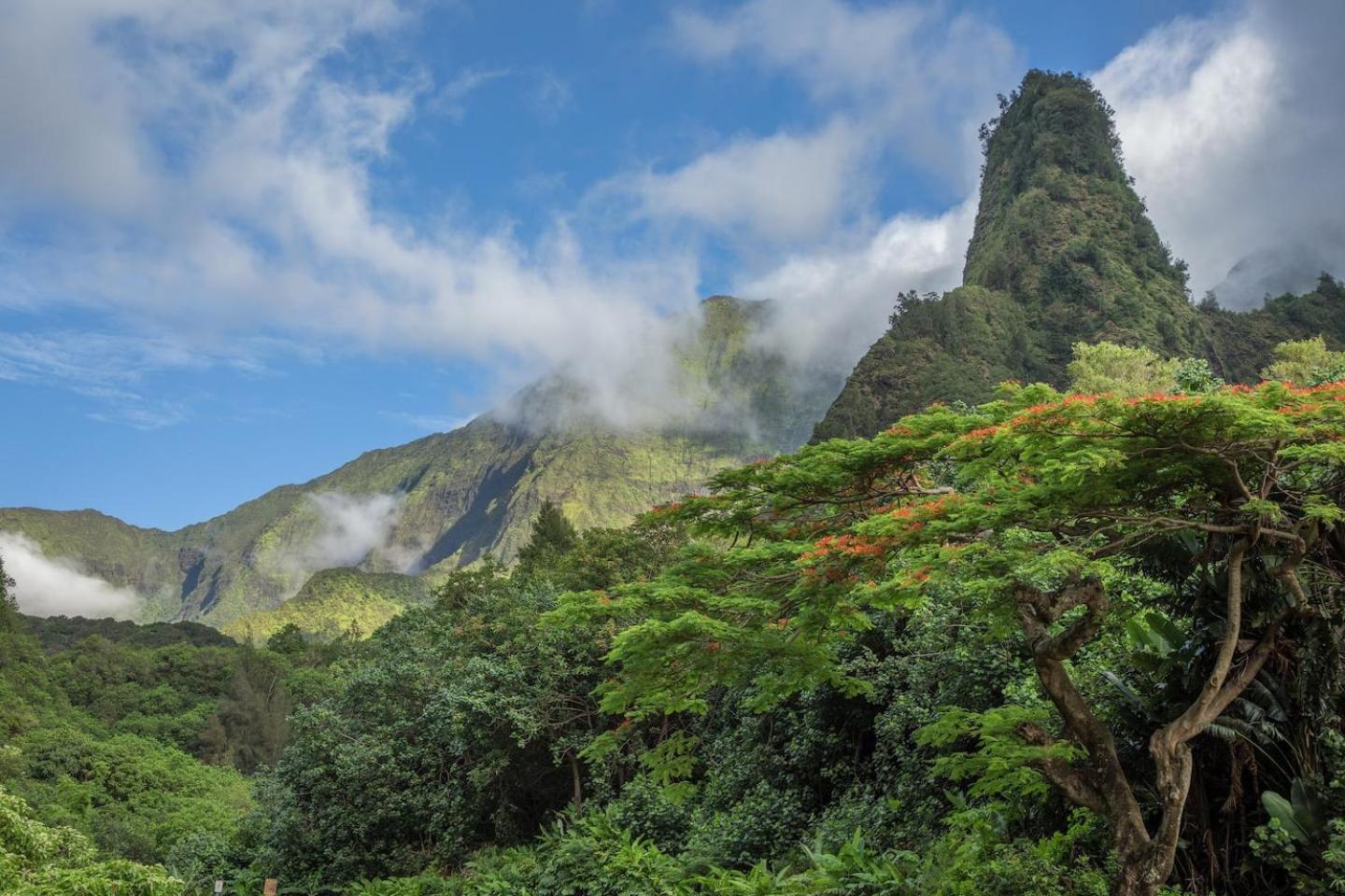 Apartamento Yonegan Maui Getaways Wailuku