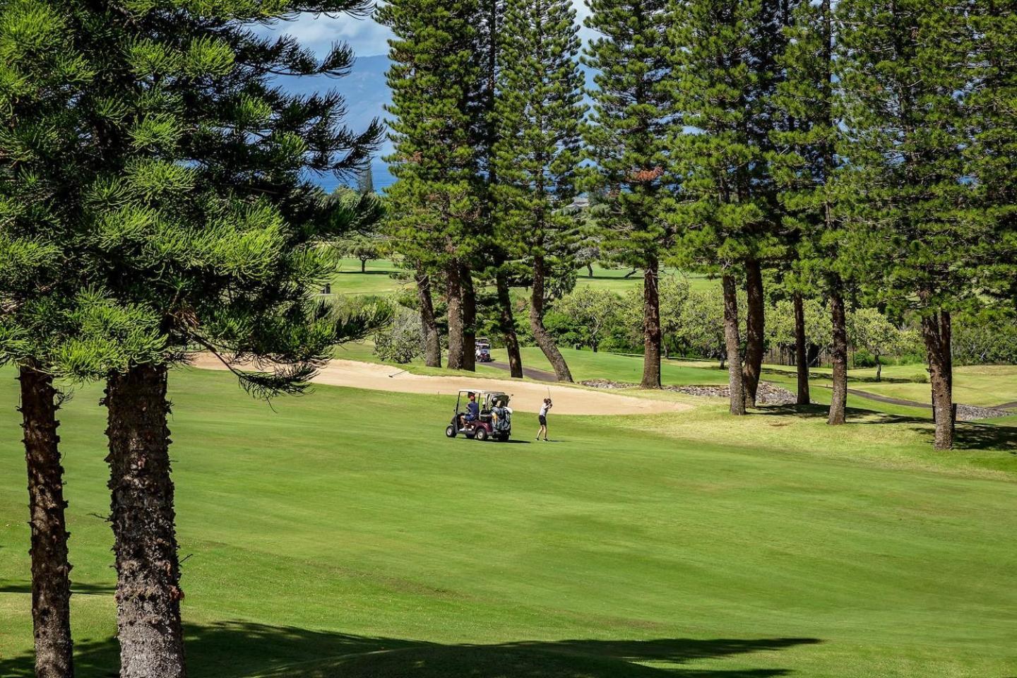 Yonegan Maui Getaways Apartment